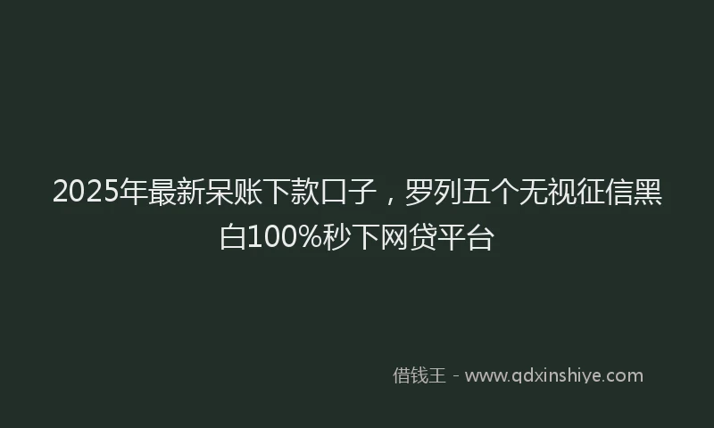 2025年最新呆账下款口子，罗列五个无视征信黑白100%秒下网贷平台
