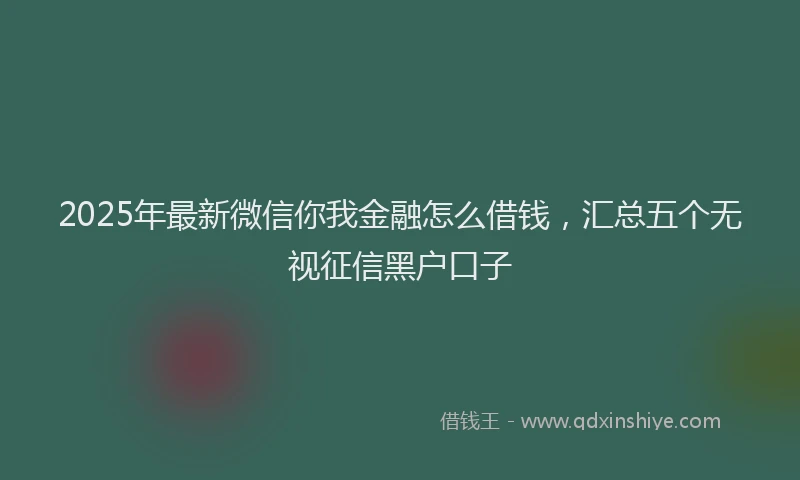 2025年最新微信你我金融怎么借钱，汇总五个无视征信黑户口子