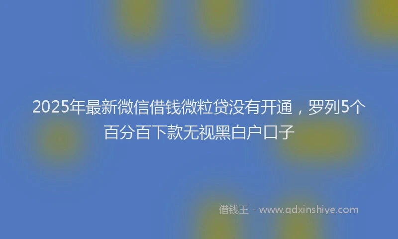 2025年最新微信借钱微粒贷没有开通，罗列5个百分百下款无视黑白户口子