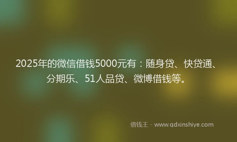 2025年的微信借钱5000元有：随身贷、快贷通、分期乐、51人品贷、微博借钱等。