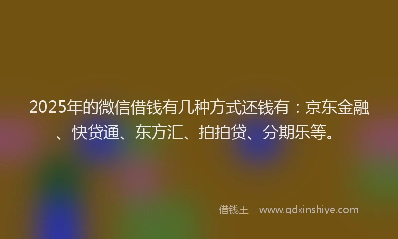 2025年的微信借钱有几种方式还钱有：京东金融、快贷通、东方汇、拍拍贷、分期乐等。