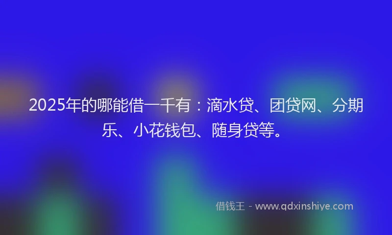 2025年的哪能借一千有：滴水贷、团贷网、分期乐、小花钱包、随身贷等。