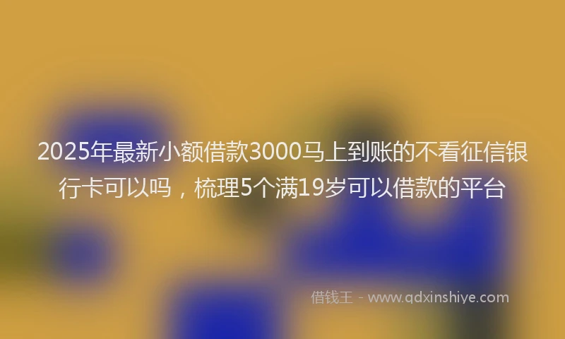 2025年最新小额借款3000马上到账的不看征信银行卡可以吗，梳理5个满19岁可以借款的平台