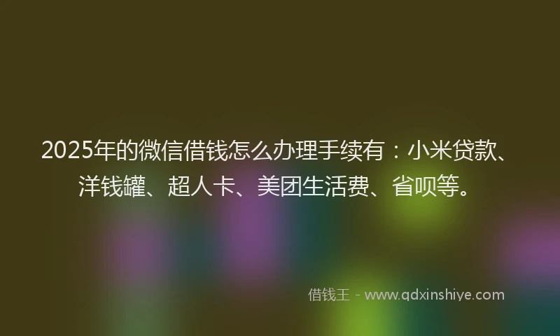 2025年的微信借钱怎么办理手续有：小米贷款、洋钱罐、超人卡、美团生活费、省呗等。