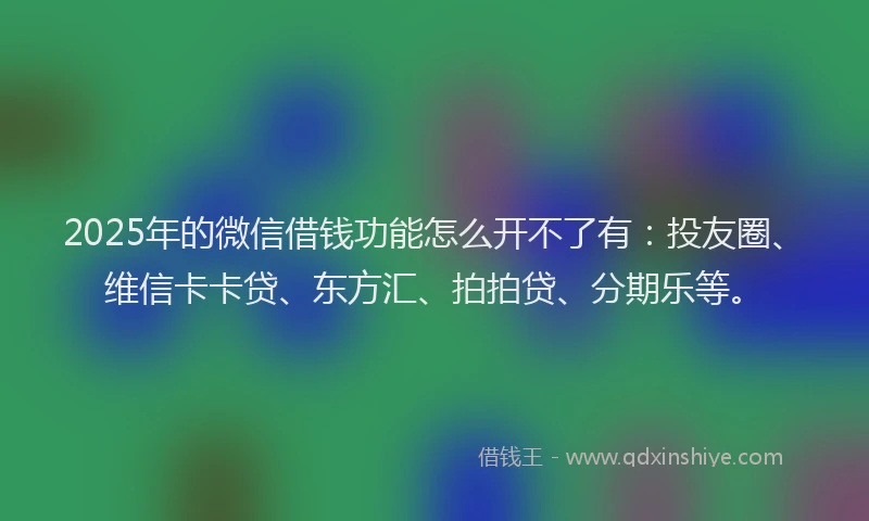 2025年的微信借钱功能怎么开不了有：投友圈、维信卡卡贷、东方汇、拍拍贷、分期乐等。