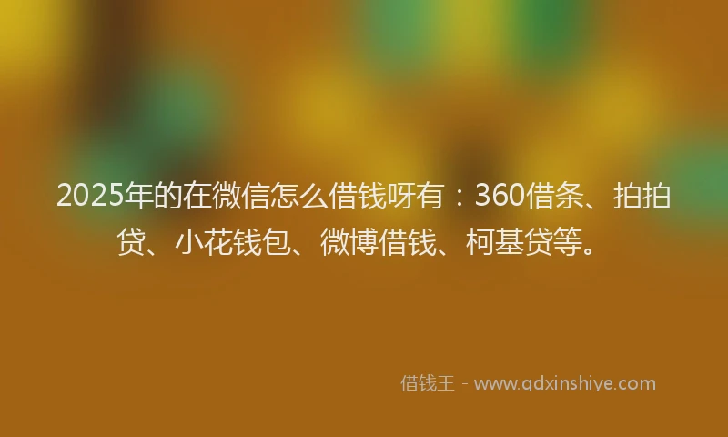 2025年的在微信怎么借钱呀有：360借条、拍拍贷、小花钱包、微博借钱、柯基贷等。
