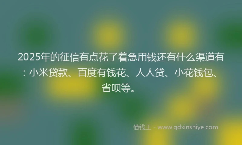 2025年的征信有点花了着急用钱还有什么渠道有：小米贷款、百度有钱花、人人贷、小花钱包、省呗等。