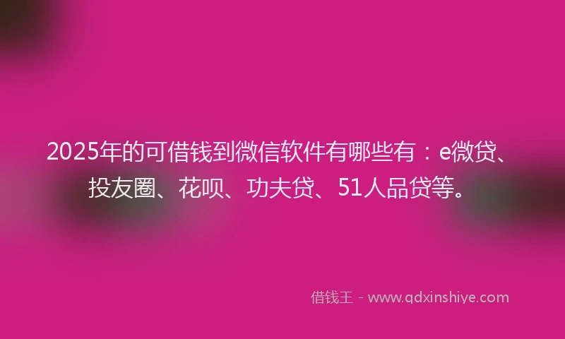 2025年的可借钱到微信软件有哪些有：e微贷、投友圈、花呗、功夫贷、51人品贷等。