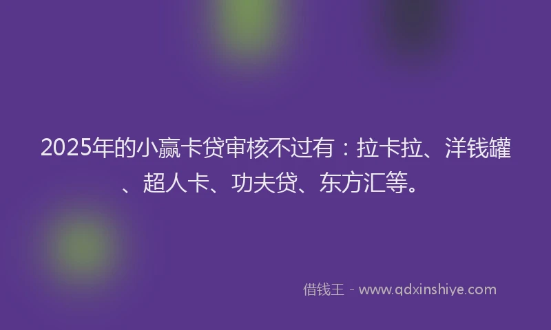 2025年的小赢卡贷审核不过有：拉卡拉、洋钱罐、超人卡、功夫贷、东方汇等。