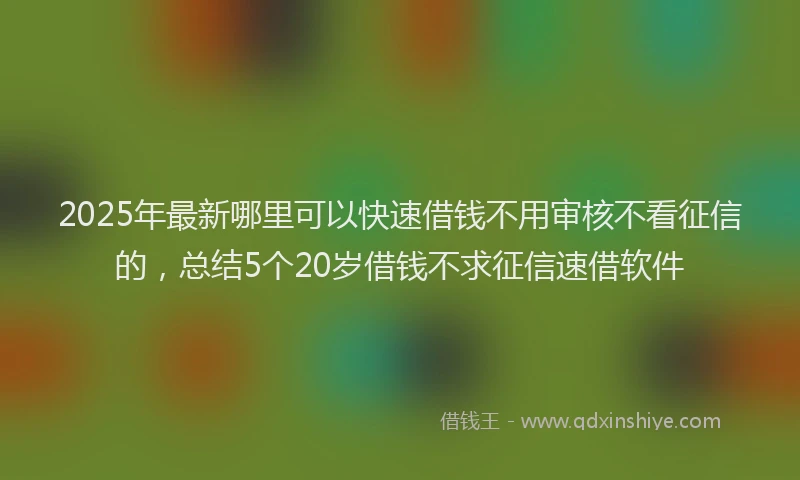 2025年最新哪里可以快速借钱不用审核不看征信的，总结5个20岁借钱不求征信速借软件