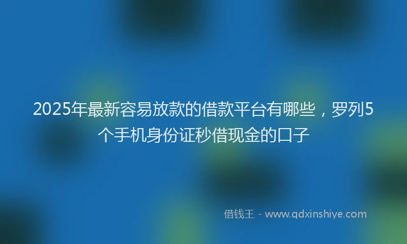 2025年最新容易放款的借款平台有哪些，罗列5个手机身份证秒借现金的口子