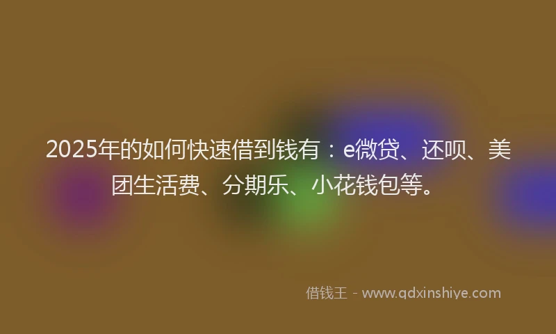 2025年的如何快速借到钱有：e微贷、还呗、美团生活费、分期乐、小花钱包等。