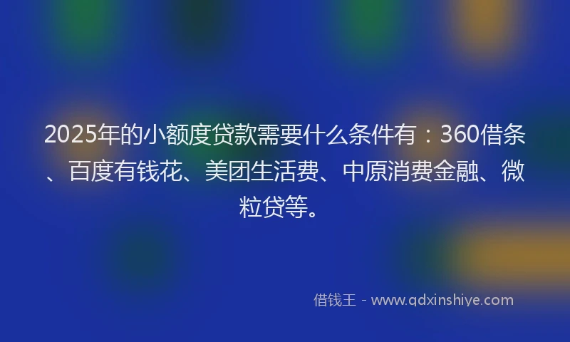 2025年的小额度贷款需要什么条件有：360借条、百度有钱花、美团生活费、中原消费金融、微粒贷等。