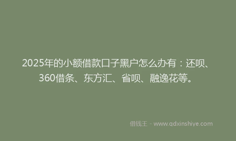 2025年的小额借款口子黑户怎么办有：还呗、360借条、东方汇、省呗、融逸花等。