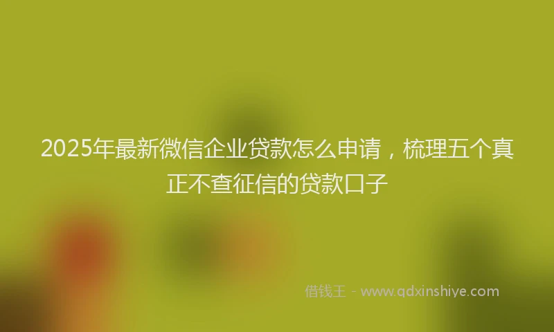 2025年最新微信企业贷款怎么申请，梳理五个真正不查征信的贷款口子