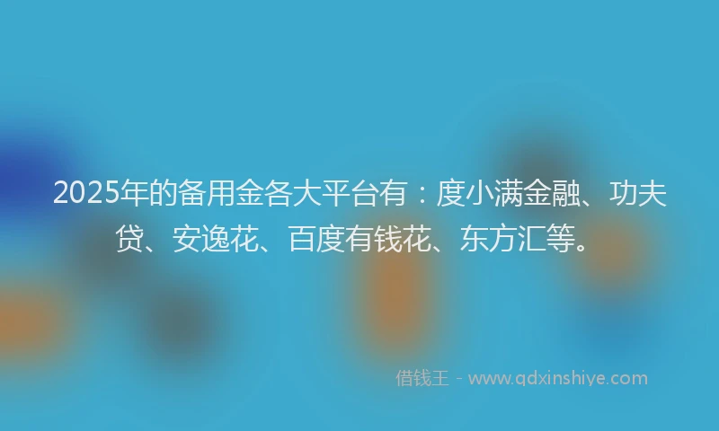 2025年的备用金各大平台有：度小满金融、功夫贷、安逸花、百度有钱花、东方汇等。