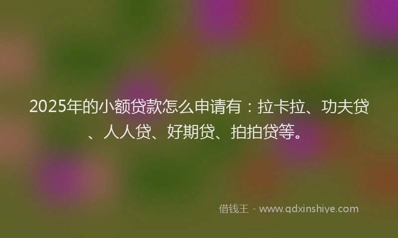 2025年的小额贷款怎么申请有：拉卡拉、功夫贷、人人贷、好期贷、拍拍贷等。