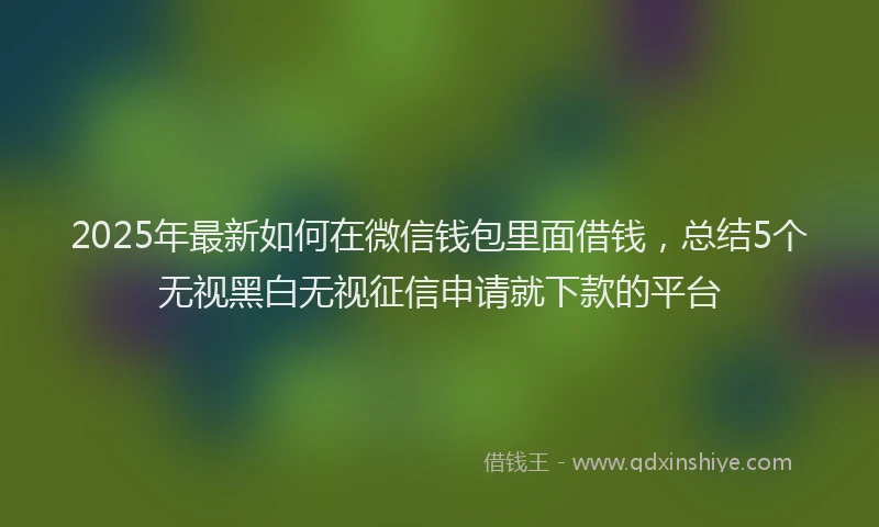 2025年最新如何在微信钱包里面借钱，总结5个无视黑白无视征信申请就下款的平台