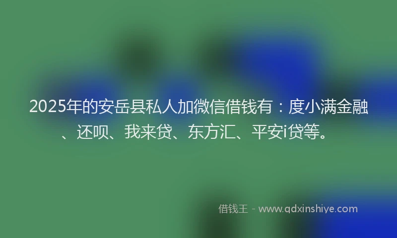 2025年的安岳县私人加微信借钱有：度小满金融、还呗、我来贷、东方汇、平安i贷等。