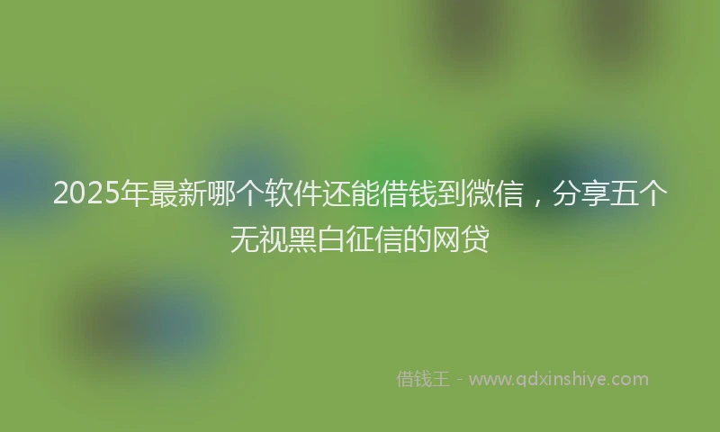 2025年最新哪个软件还能借钱到微信，分享五个无视黑白征信的网贷