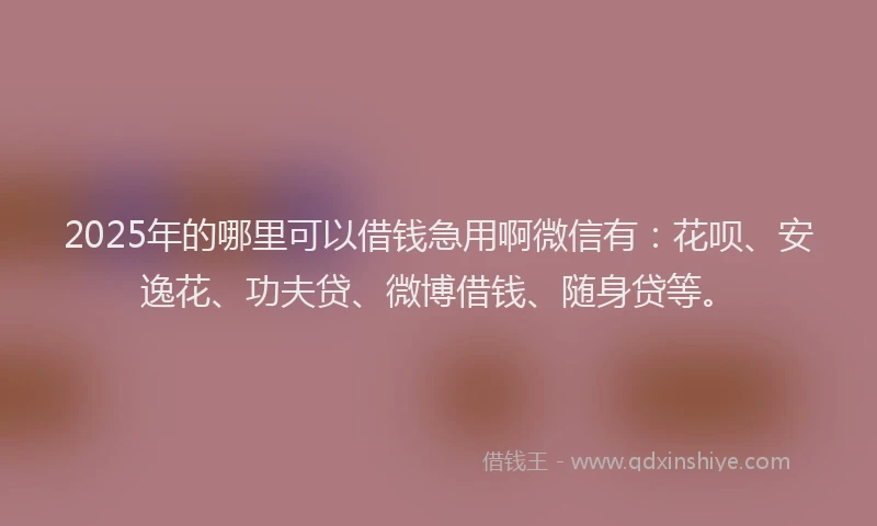 2025年的哪里可以借钱急用啊微信有：花呗、安逸花、功夫贷、微博借钱、随身贷等。