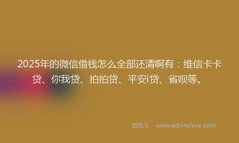 2025年的微信借钱怎么全部还清啊有：维信卡卡贷、你我贷、拍拍贷、平安i贷、省呗等。