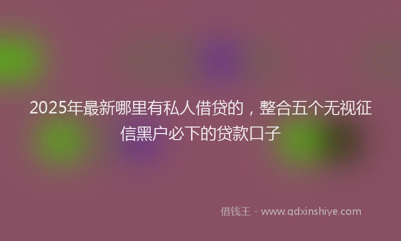 2025年最新哪里有私人借贷的，整合五个无视征信黑户必下的贷款口子