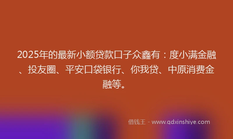 2025年的最新小额贷款口子众鑫有：度小满金融、投友圈、平安口袋银行、你我贷、中原消费金融等。