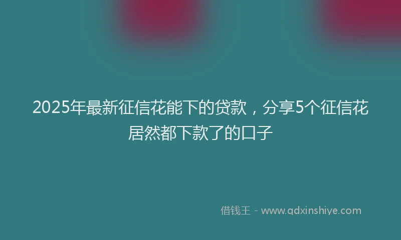 2025年最新征信花能下的贷款，分享5个征信花居然都下款了的口子