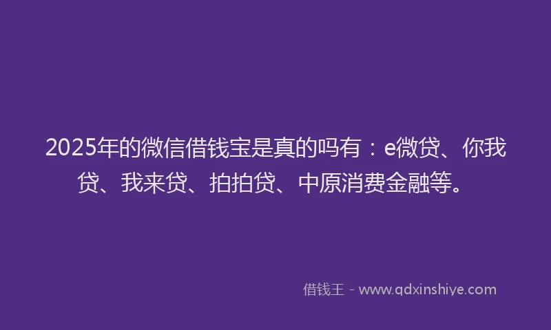 2025年的微信借钱宝是真的吗有：e微贷、你我贷、我来贷、拍拍贷、中原消费金融等。