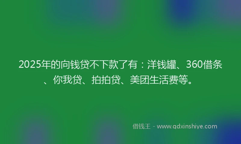 2025年的向钱贷不下款了有：洋钱罐、360借条、你我贷、拍拍贷、美团生活费等。