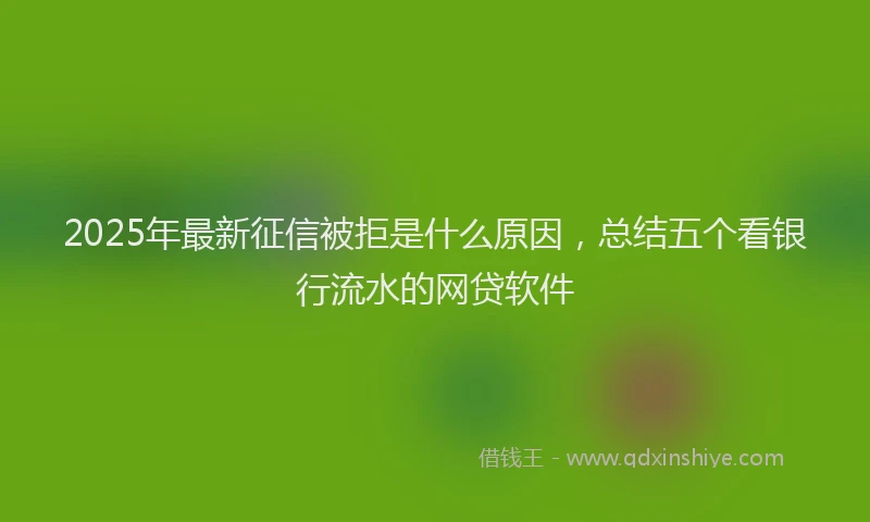 2025年最新征信被拒是什么原因，总结五个看银行流水的网贷软件