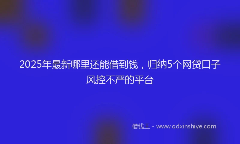 2025年最新哪里还能借到钱，归纳5个网贷口子风控不严的平台