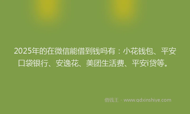 2025年的在微信能借到钱吗有：小花钱包、平安口袋银行、安逸花、美团生活费、平安i贷等。