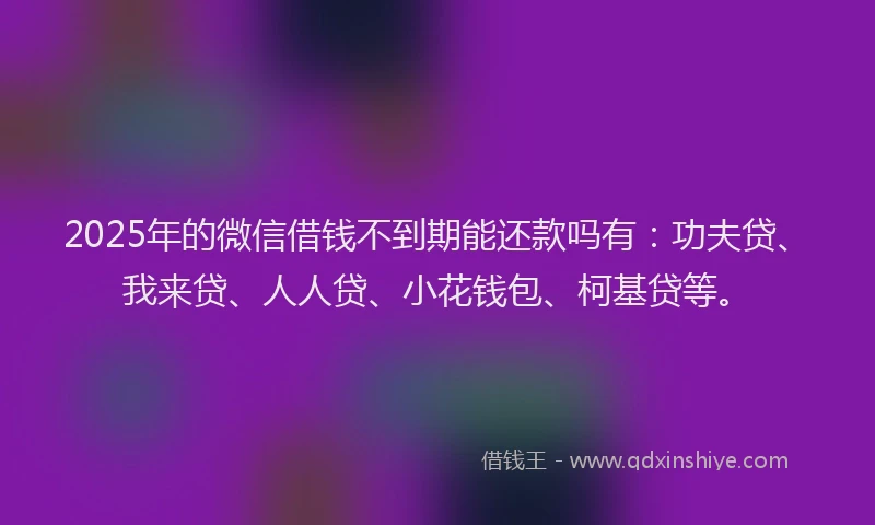 2025年的微信借钱不到期能还款吗有：功夫贷、我来贷、人人贷、小花钱包、柯基贷等。