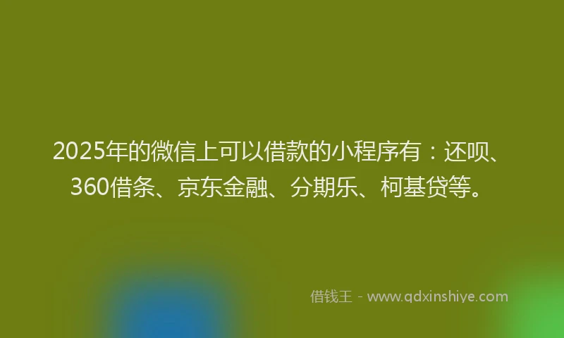 2025年的微信上可以借款的小程序有：还呗、360借条、京东金融、分期乐、柯基贷等。