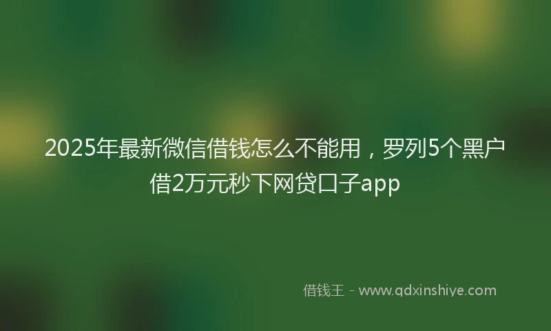 2025年最新微信借钱怎么不能用，罗列5个黑户借2万元秒下网贷口子app