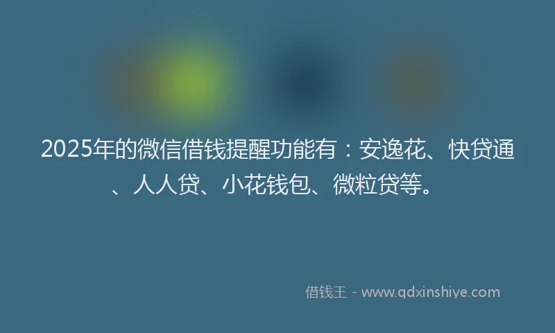 2025年的微信借钱提醒功能有：安逸花、快贷通、人人贷、小花钱包、微粒贷等。