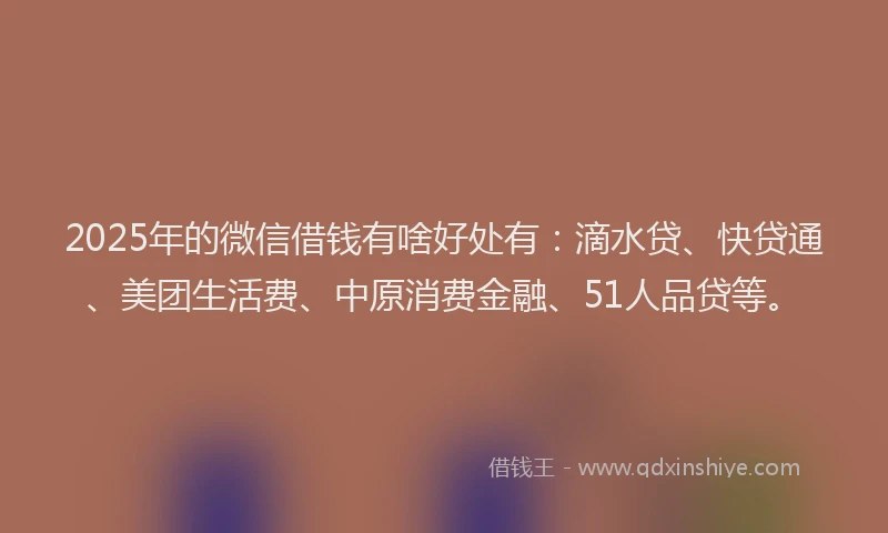 2025年的微信借钱有啥好处有：滴水贷、快贷通、美团生活费、中原消费金融、51人品贷等。