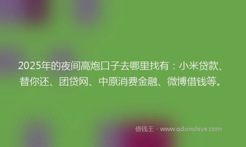 2025年的夜间高炮口子去哪里找有：小米贷款、替你还、团贷网、中原消费金融、微博借钱等。