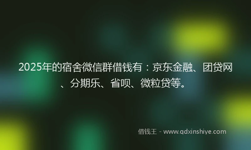 2025年的宿舍微信群借钱有：京东金融、团贷网、分期乐、省呗、微粒贷等。
