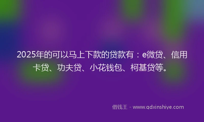 2025年的可以马上下款的贷款有：e微贷、信用卡贷、功夫贷、小花钱包、柯基贷等。