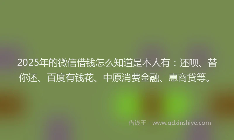 2025年的微信借钱怎么知道是本人有：还呗、替你还、百度有钱花、中原消费金融、惠商贷等。