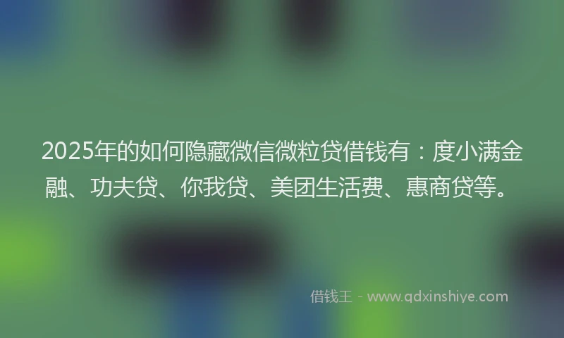 2025年的如何隐藏微信微粒贷借钱有：度小满金融、功夫贷、你我贷、美团生活费、惠商贷等。