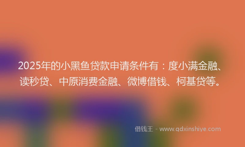 2025年的小黑鱼贷款申请条件有：度小满金融、读秒贷、中原消费金融、微博借钱、柯基贷等。