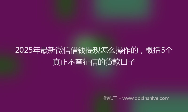 2025年最新微信借钱提现怎么操作的，概括5个真正不查征信的贷款口子