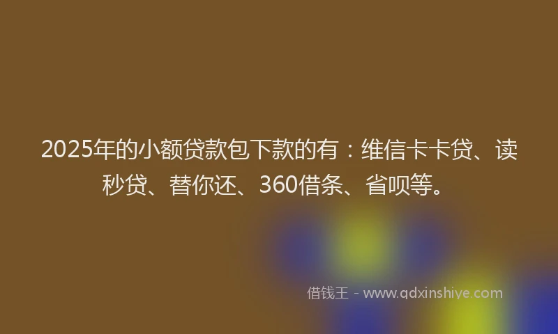 2025年的小额贷款包下款的有：维信卡卡贷、读秒贷、替你还、360借条、省呗等。
