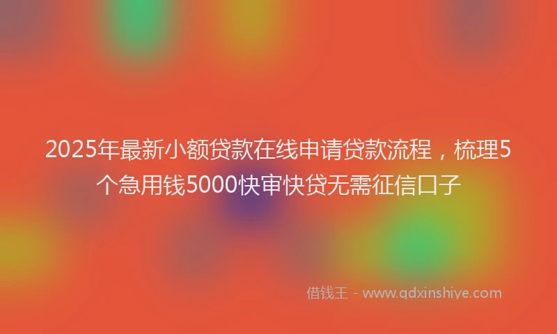 2025年最新小额贷款在线申请贷款流程，梳理5个急用钱5000快审快贷无需征信口子