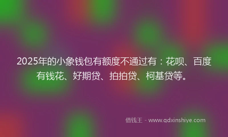 2025年的小象钱包有额度不通过有：花呗、百度有钱花、好期贷、拍拍贷、柯基贷等。