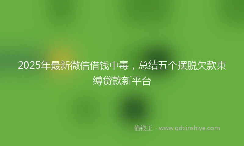 2025年最新微信借钱中毒，总结五个摆脱欠款束缚贷款新平台